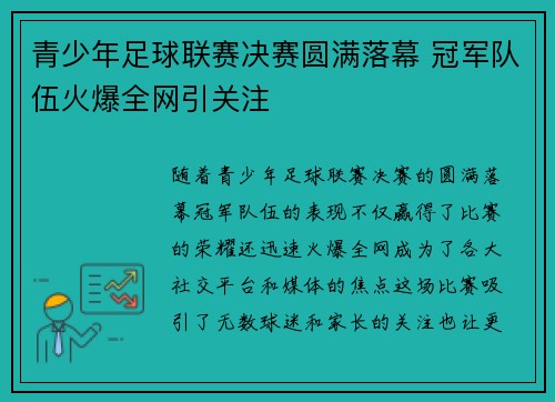 青少年足球联赛决赛圆满落幕 冠军队伍火爆全网引关注