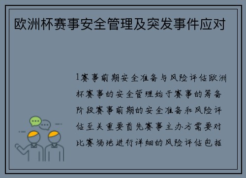 欧洲杯赛事安全管理及突发事件应对